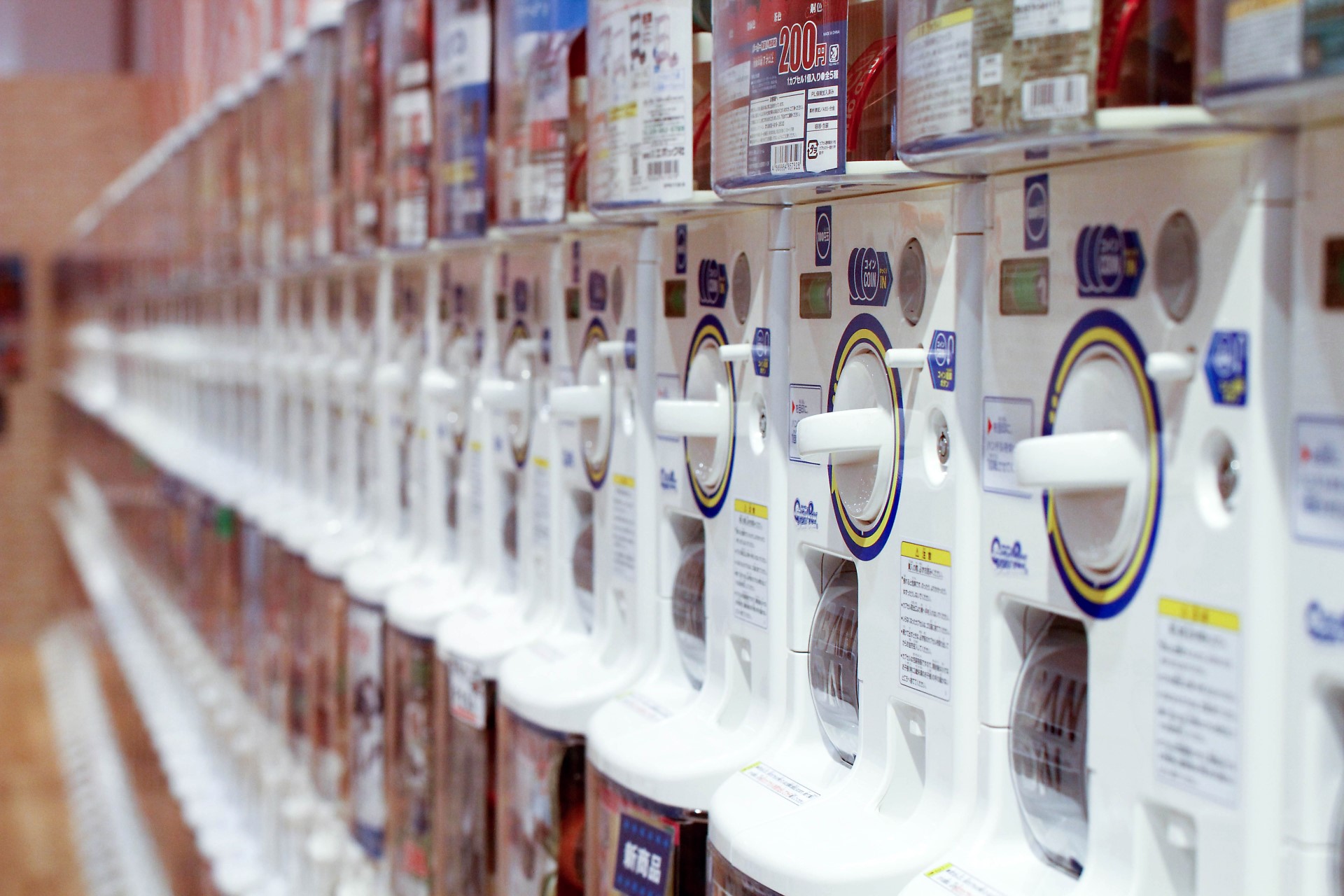 ドリーム　カプセル